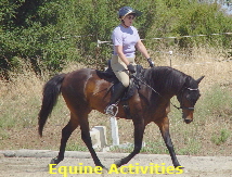Equine Activities