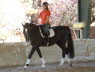 It shows as he becomes more and more soft and willing under saddle.