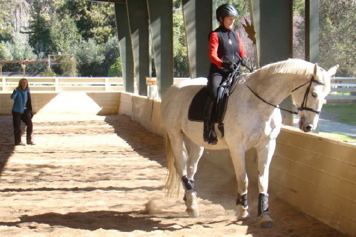 Claire is getting the hang of this Dressage stuff.