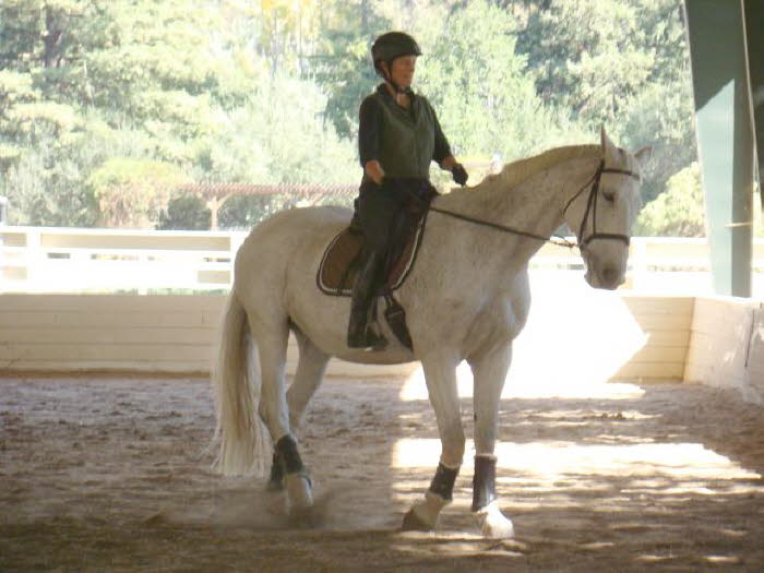 Claire is beginning to look like a dressage horse in this lateral work  so hard for her
