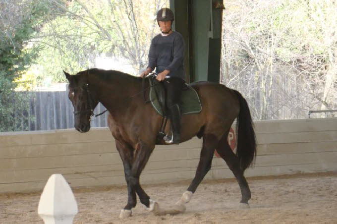 Robin hasnt gotten any less complex, and Elise has a tough first  ride this clinic.