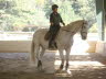 Claire is beginning to look like a dressage horse in this lateral work  so hard for her